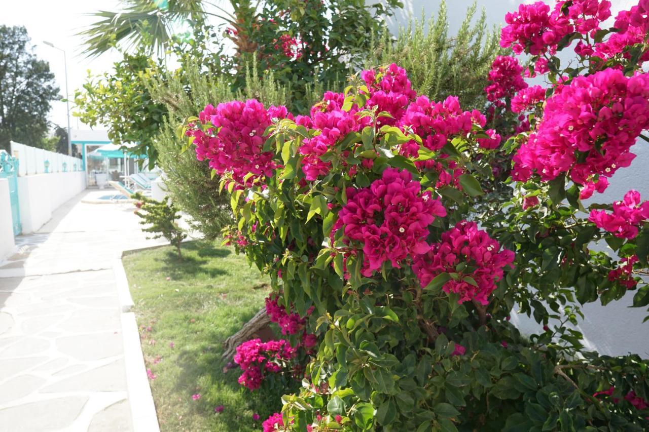 Casa Aria Hotel 검벳 외부 사진